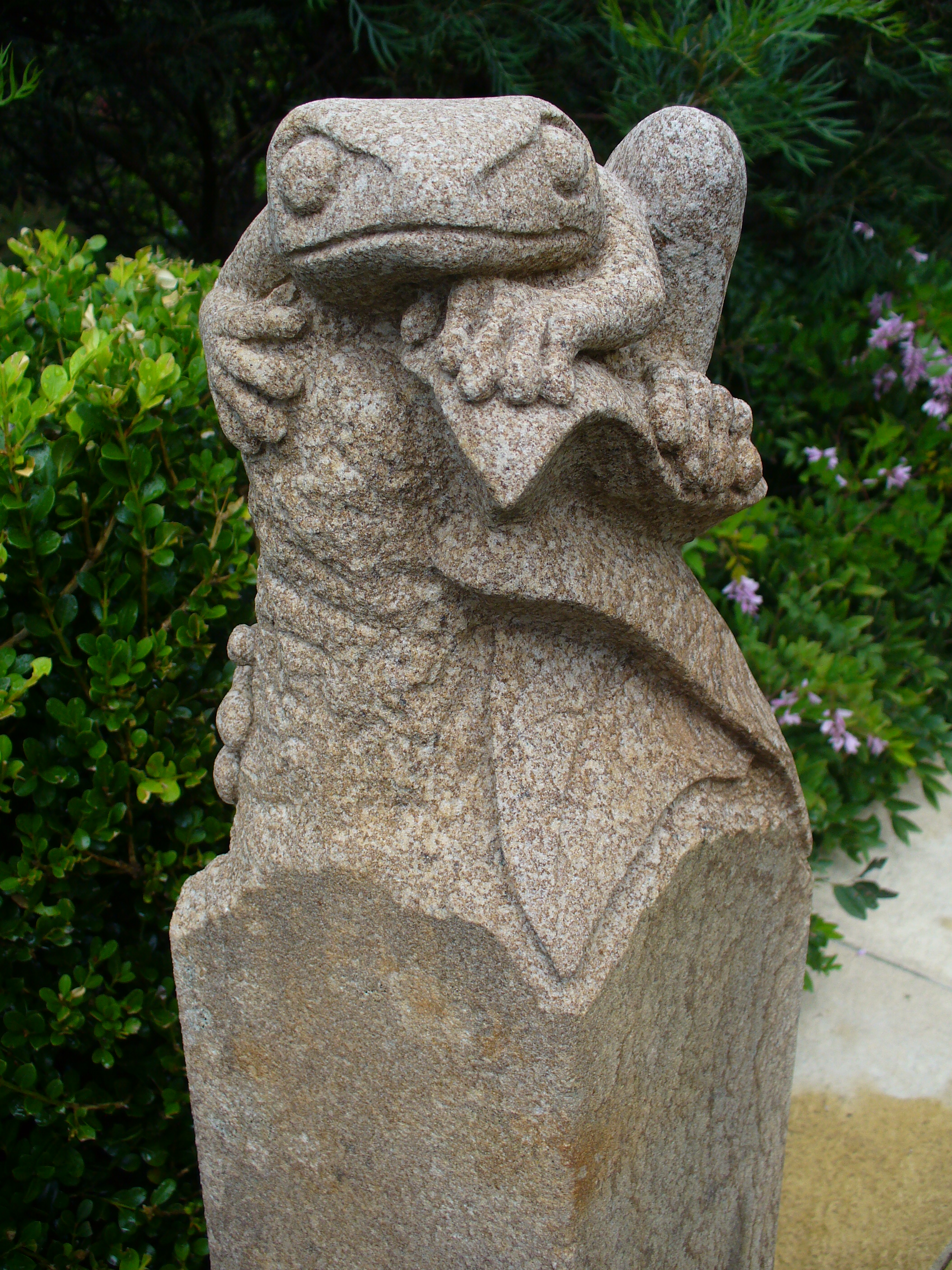 Frog 1